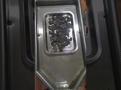 पॉलीगोनम मल्टीफ्लोरम पाउडर